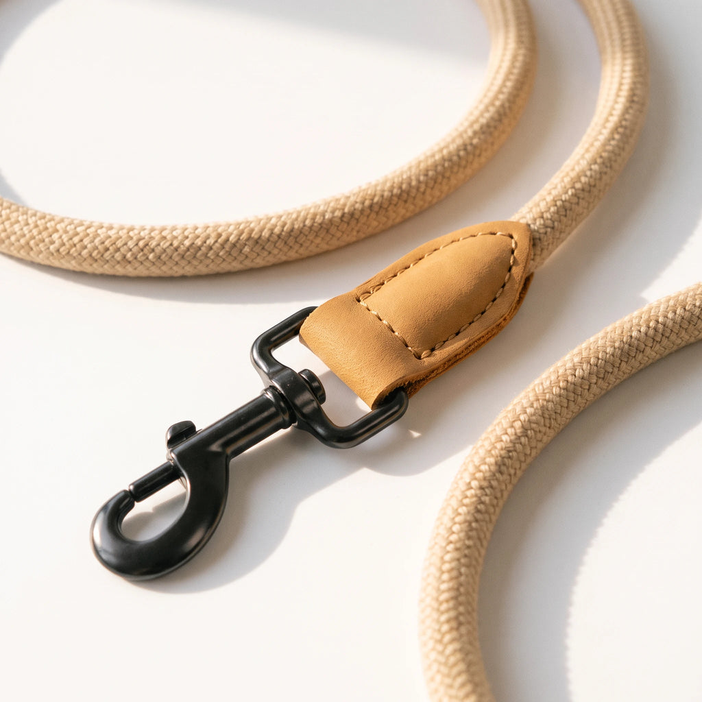 Stride Hands-Free Leash