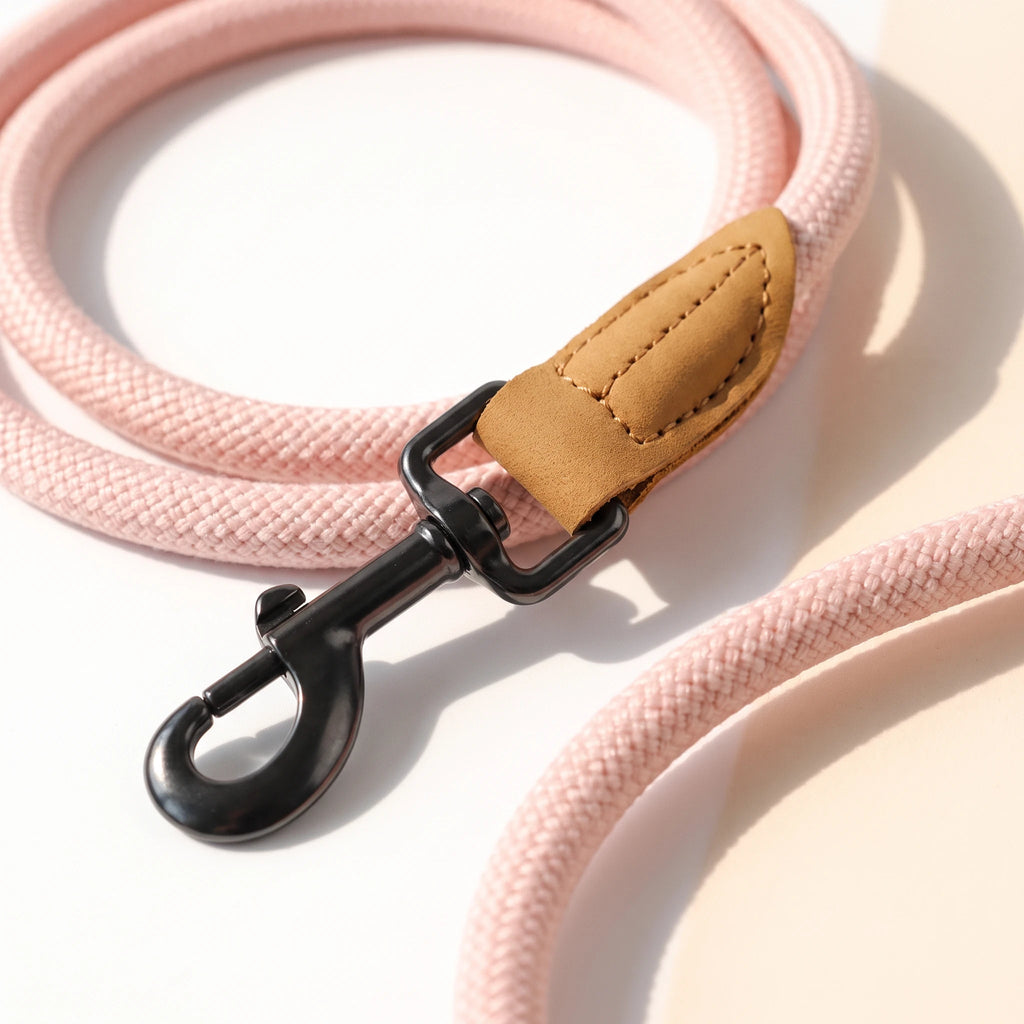 Stride Hands-Free Leash