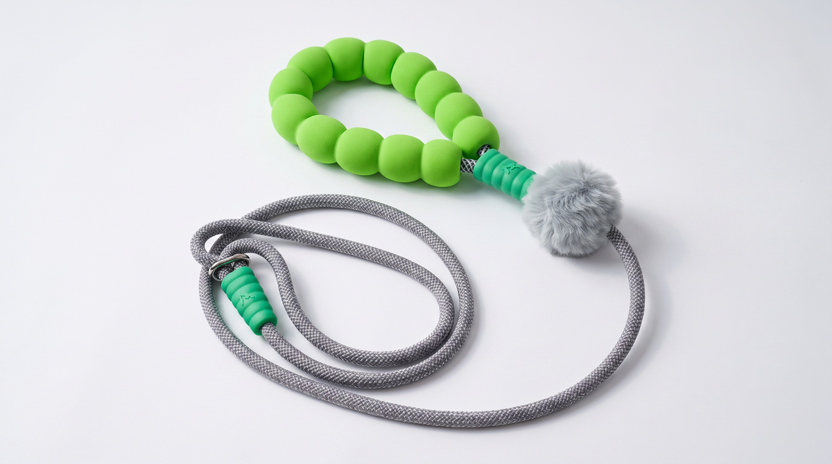 Pebble Dog Adjustable Leash