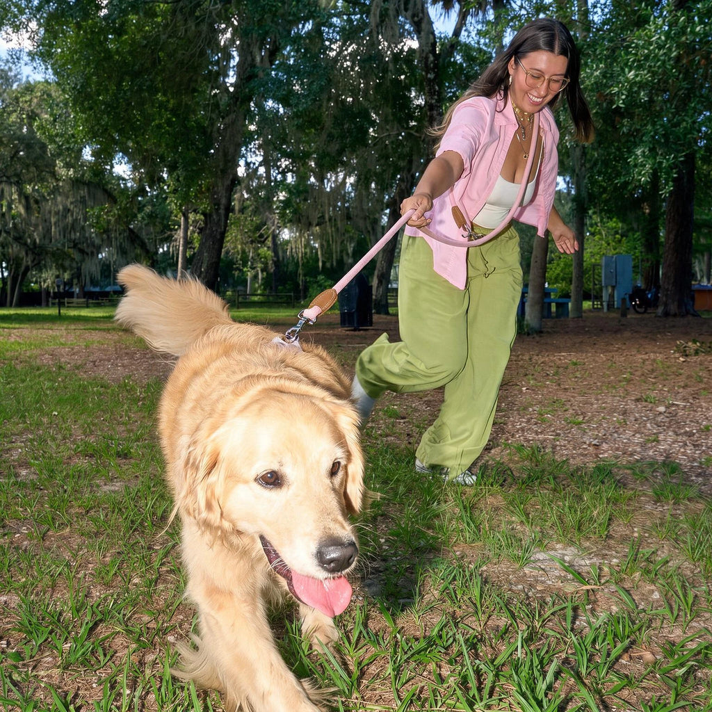 Stride Hands-Free Leash