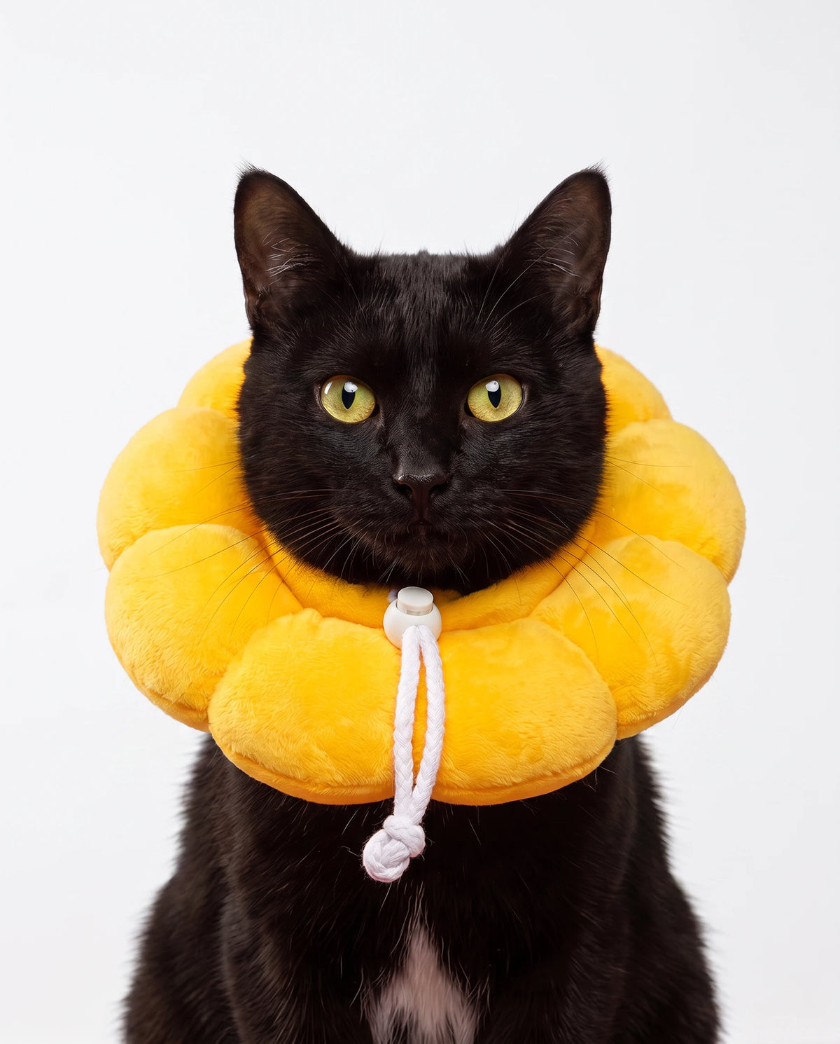 Halo Recovery Collar