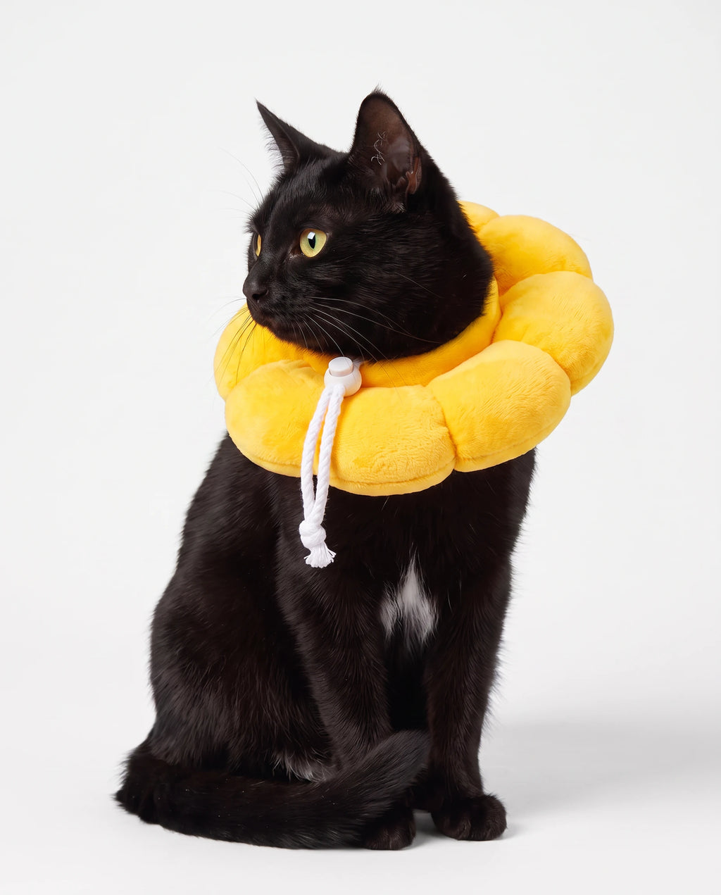 Halo Recovery Collar