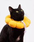 Halo Recovery Collar