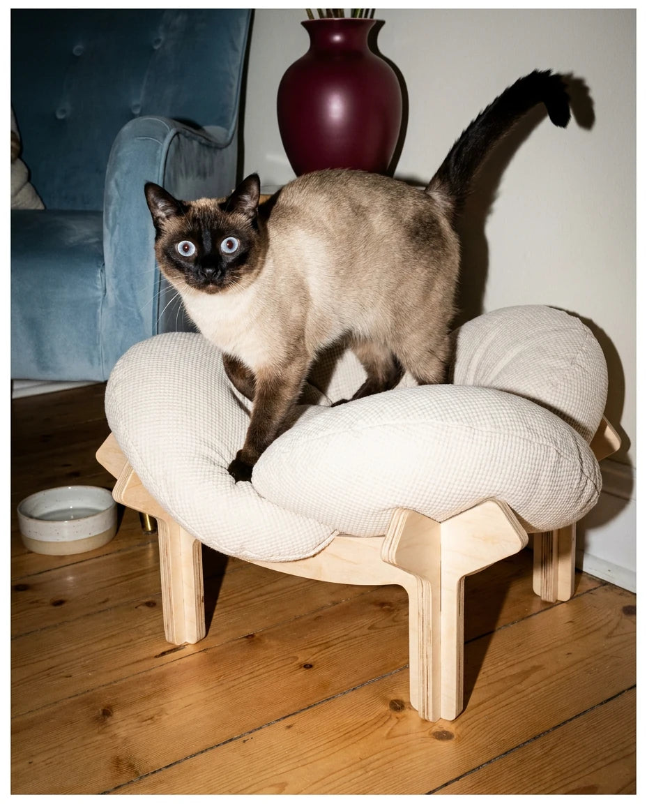 Loft Bed