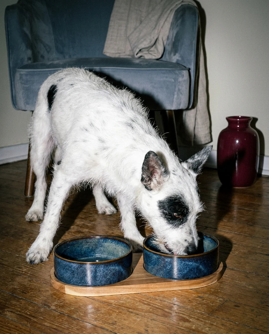 Nook Ceramic Feeding Bowl