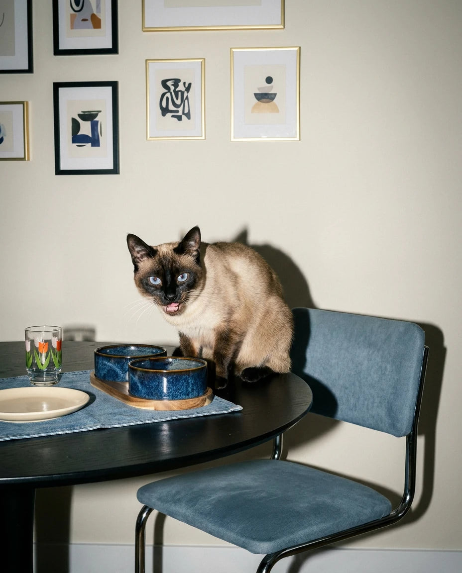 Nook Ceramic Feeding Bowl