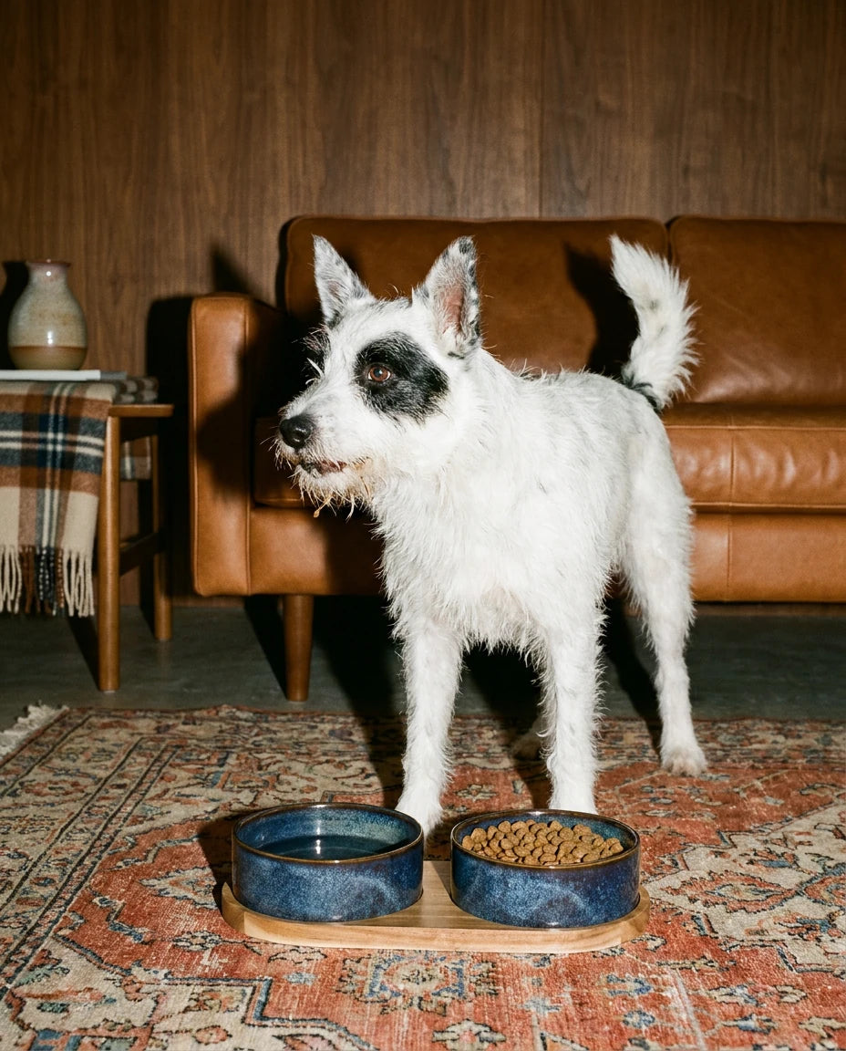 Nook Ceramic Feeding Bowl