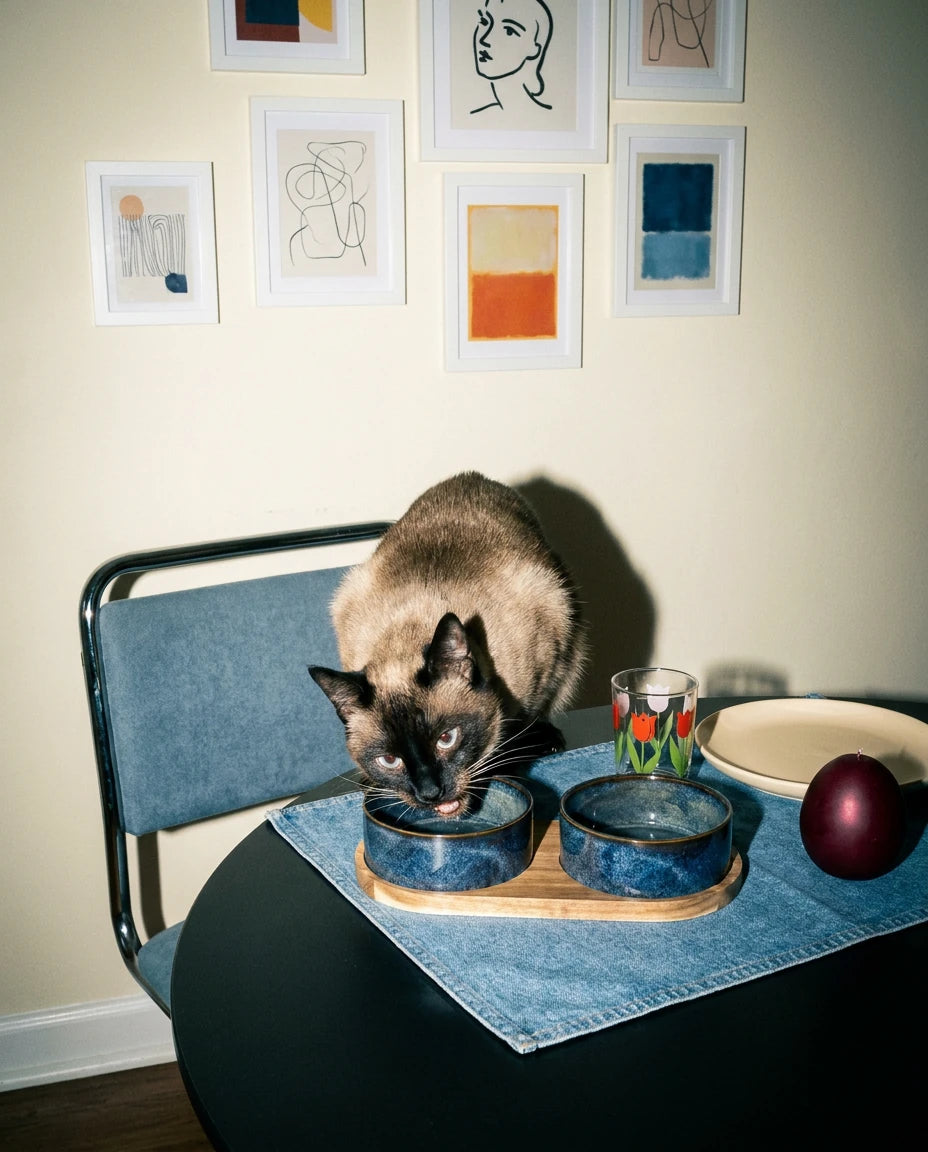 Nook Ceramic Feeding Bowl
