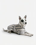Swaddle Dry Robe